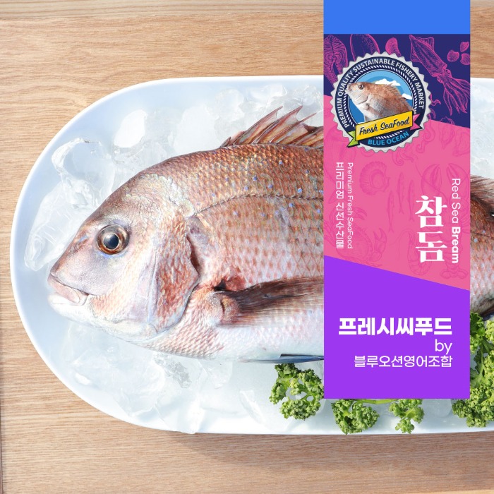 참돔 1kg 1미 통영 생물 손질 생선 참돔매운탕 도미 생선구이 프레시씨푸드